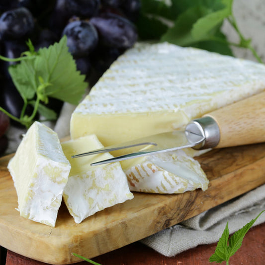 Queso tipo brie Galia Chef