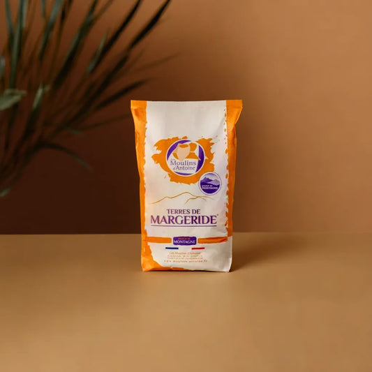 Costal de harina Moulins D'Antoine de centeno T170