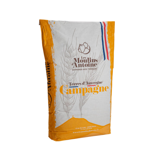 Costal de harina Moulins D'Antoine Campaña T80
