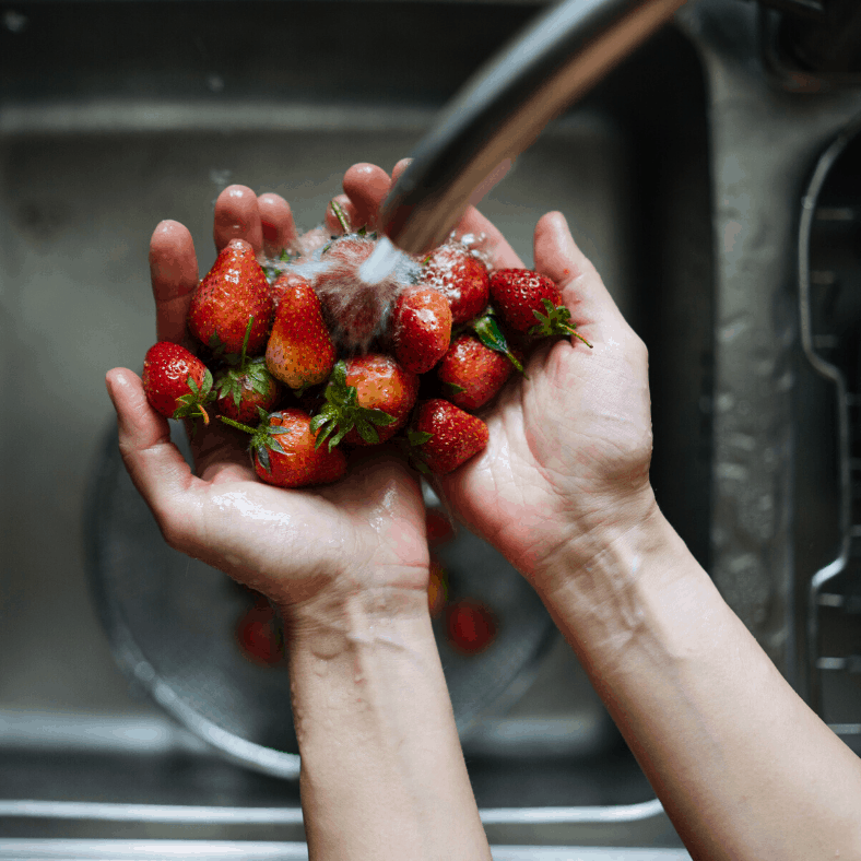 Seguridad alimentaria