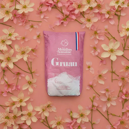 Costal de harina Moulins D'Antoine gruau T45